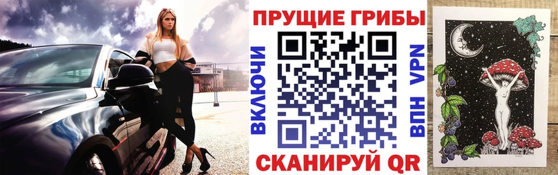 где продают наркотики  Новосибирск  Галлюциногенные грибы Magic Shrooms 
