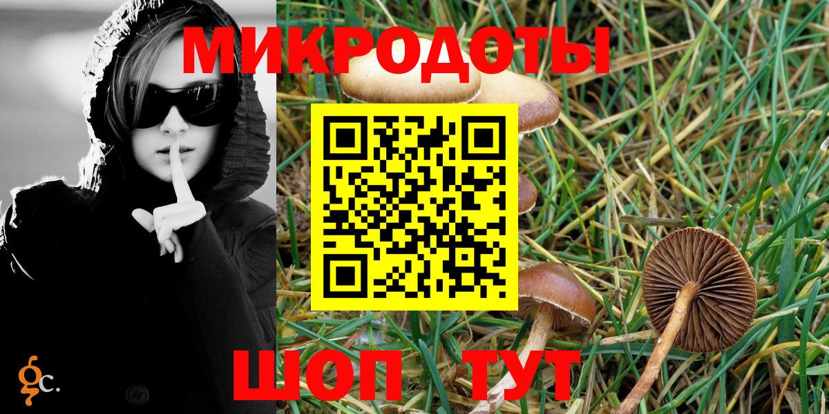 Галлюциногенные грибы ЛСД  Галлюциногенные грибы Psilocybine cubensis  Вход с VPN  Новосибирск 