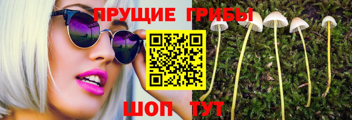 Галлюциногенные грибы GOLDEN TEACHER Новосибирск