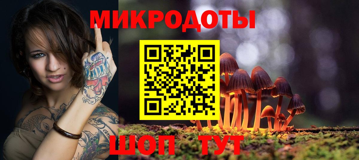 Псилоцибиновые грибы Новосибирск