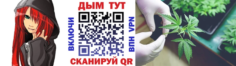 МАРИХУАНА семена  закладки  Новосибирск 